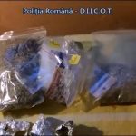 Percheziții in vestul țării la traficanții de droguri