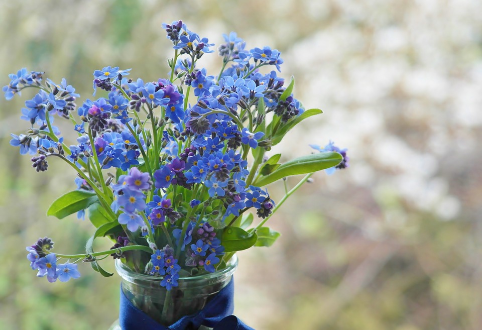 Flori albastre de “Nu mă uita” de Ziua Internaţională a Conştientizării Autismului