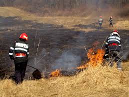 Incendii de vegetație uscată în Timiș