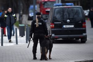 La meciul cu Danemarca vor fi folosiți câini-polițiști care detectează substanțele pirotehnice