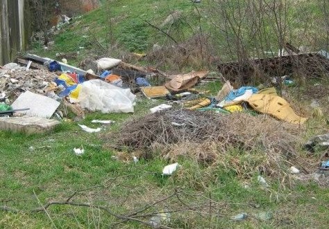 Aproape 300 de persoane sancționate în februarie pentru că au abandonat deșeuri pe domeniul public