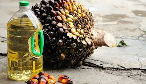 Uleiul de palmier: sănătos sau nesănătos?
