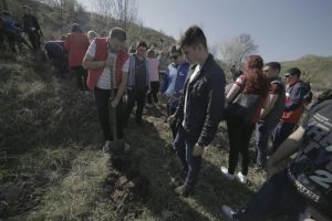 Social-democrații au plantat în Timiș peste 200 de copaci