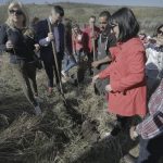 Voluntarii vor planta mii de puieţi într-o comună timişeană