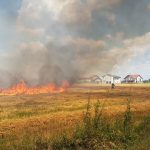 Intervenție dificilă a ISU Timiș pe un câmp din Giarmata Vii