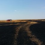 Douăsprezece hectare de grâu făcute scrum