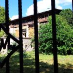 Dinastia Mühle. O traiectorie în arta grădinilor