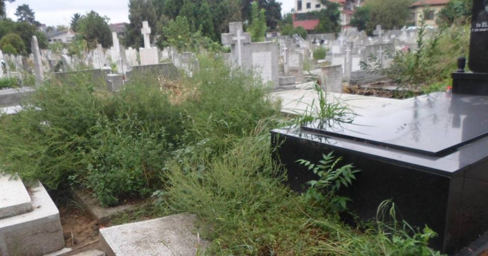 Consiliul Local impune reguli noi pentru cimitirele din Timișoara