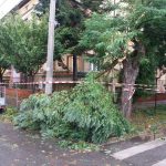 Solidaritate după furtună: sprijin de peste 100.000 euro pentru familiile afectate din Timiș, Arad și Hunedoara