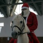 Crăciunul… pe cai mari! Eveniment ecvestru, caritabil, la Manejul din Timişoara