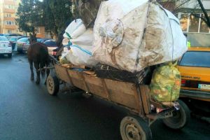 În Timișoara este interzis cu căruța, dar unii insistă! O fi amenda prea mică…