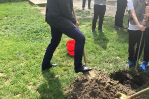 Viceprimarul Diaconu a plantat arbori în curtea şcolii la care a învăţat