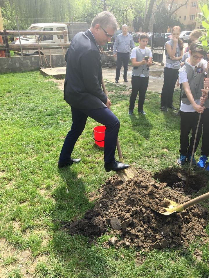 Viceprimarul Diaconu a plantat arbori în curtea şcolii la care a învăţat