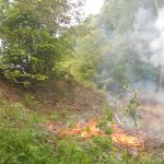 Incendiu în Parcul Național Domogled-Valea Cernei
