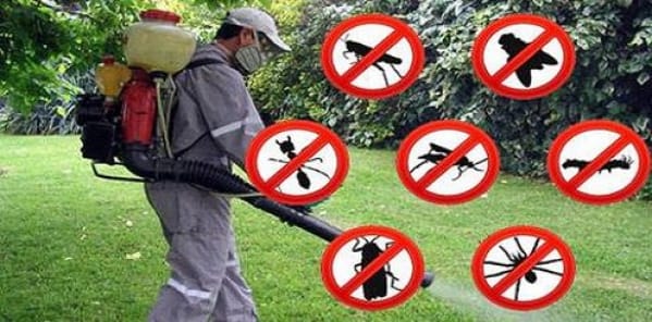 Dezinsecție împotriva țânțarilor și muștelor, în Giroc și Chișoda