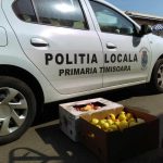 A vândut mere de import și a fost interzis în piețele volante din Timișoara! Un an stă “pe tușă”