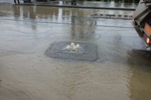 40 de angajați ai Aquatim și 13 utilaje au intervenit pe străzi pentru remedierea problemelor cauzate de precipitațiile masive
