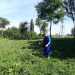 Acțiune civică: un consilier local din Lugoj a ieșit la tuns iarba, pe malul Timișului
