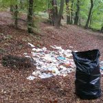 Acțiune de ecologizare a județului Timiș de „Ziua Mondială a Curățeniei”