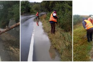 Angajaţii de la Drumuri au rezolvat problemele cauzate de vânt şi ploaie