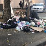 Timișoara are, în sfârșit, o firmă care să se ocupe de curățenia stradală
