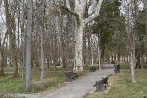 Parcul din Buziaş, reamenajat cu aproape 5 milioane de euro. Va avea fântâni arteziene