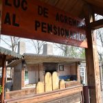 Pensionarii din comuna timișeană Biled au propriul club