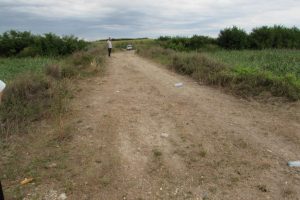 O firmă contractată de CJT va repara drumul dintre Parța și Petroman