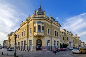 Muzeul de Artă Timișoara și Muzeul de Artă al Academiei din Novi Sad vor colabora