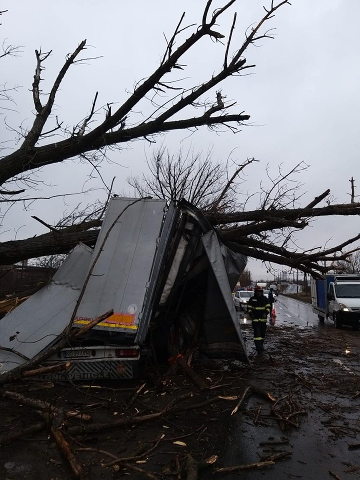 Vântul a doborât copaci peste maşini la Timişoara