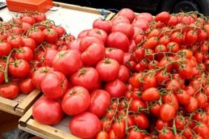 Ministrul Agriculturii anunţă un ajutor de 2.000 de euro pentru legumicultori