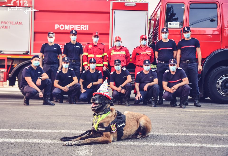Pompierii timişoreni o sărbătoresc pe Sema de Ziua Internaţională a Câinilor