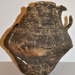Morminte de incinerație descoperite de specialiștii din Timiș, pe sit-ul arheologic de la Susani