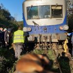 Nu circulă trenurile între Timişoara Nord şi Reşiţa după ce un tren a deraiat și a lovit doi cai
