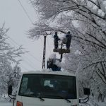 Avarii la rețeaua electrică în județul Timiș: CJSU a intervenit cu generatoare pentru localitățile a...
