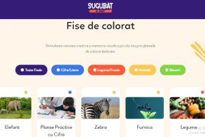 GAL Timișoara a lansat un site interactiv dedicat mai ales copiilor