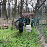 Grădina Zoologică din Timișoara transformată într-o fermă cu animale autohtone