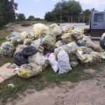 Zeci de saci cu deșeuri reciclabile aruncate la întâmplare pe malul Timișului, colectate de voluntari