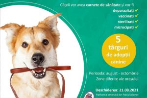 Primul târg din campania pentru adopția câinilor aflați în adăpostul public va avea loc sâmbătă