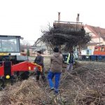 Timișoara: Tarif la jumătate pentru colectarea deșeurilor vegetale