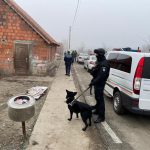 Acțiuni ample ale polițiștilor în Checea și Jimbolia