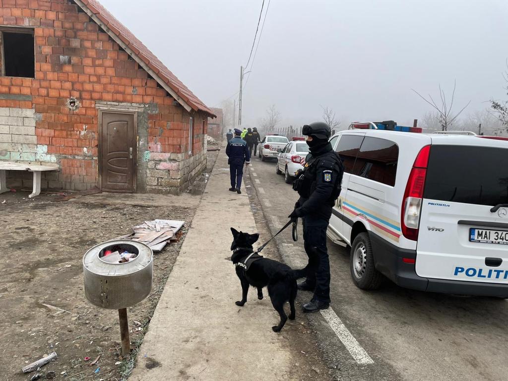 Acțiuni ample ale polițiștilor în Checea și Jimbolia