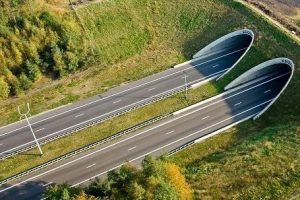 Licitația pentru construcția sectorului Margina – Holdea din autostrada Lugoj – Deva continuă