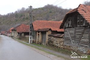 Color the Village 2022 va avea loc în satul Fărășești din județul Timiș