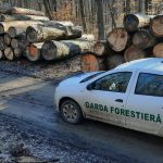 Garda Forestieră Timișoara a aplicat 20 de amenzi în octombrie