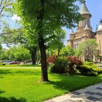 Program prelungit pentru întreținerea spațiilor verzi din Timișoara