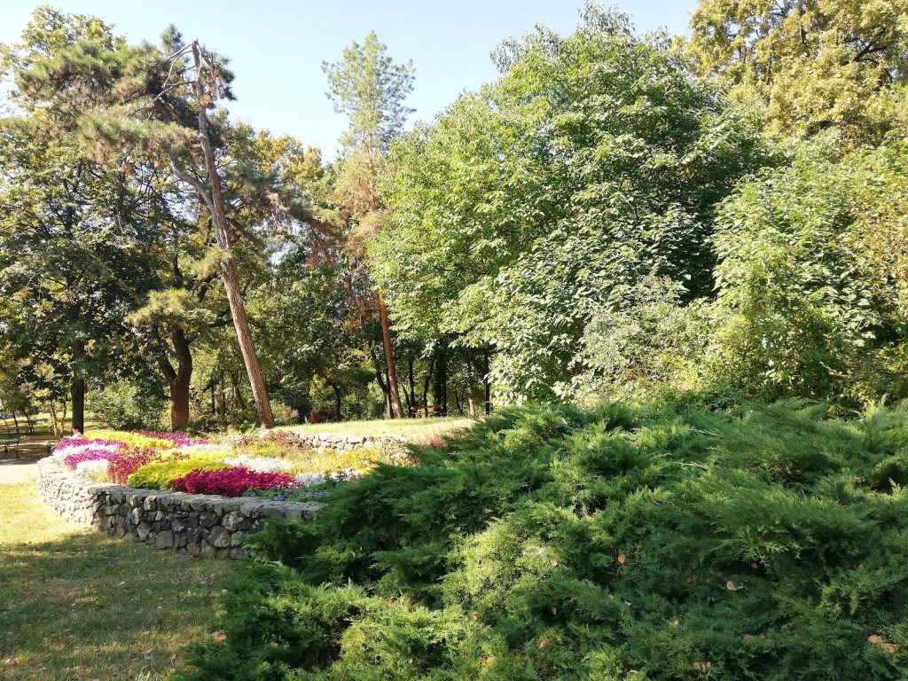 Bărbat bătut și  jefuit într-un parc din Timișoara