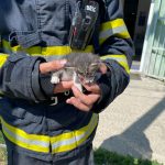 Gest plin de compasiune al pompierilor de la ISU Timiș