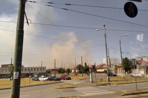 Incendiu de vegetație în zona Ronaț. Focul a cuprins 30 de hectare