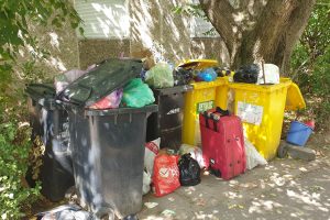 Acțiune de verificare a modului de colectare a gunoiului pe raza comunei Giroc